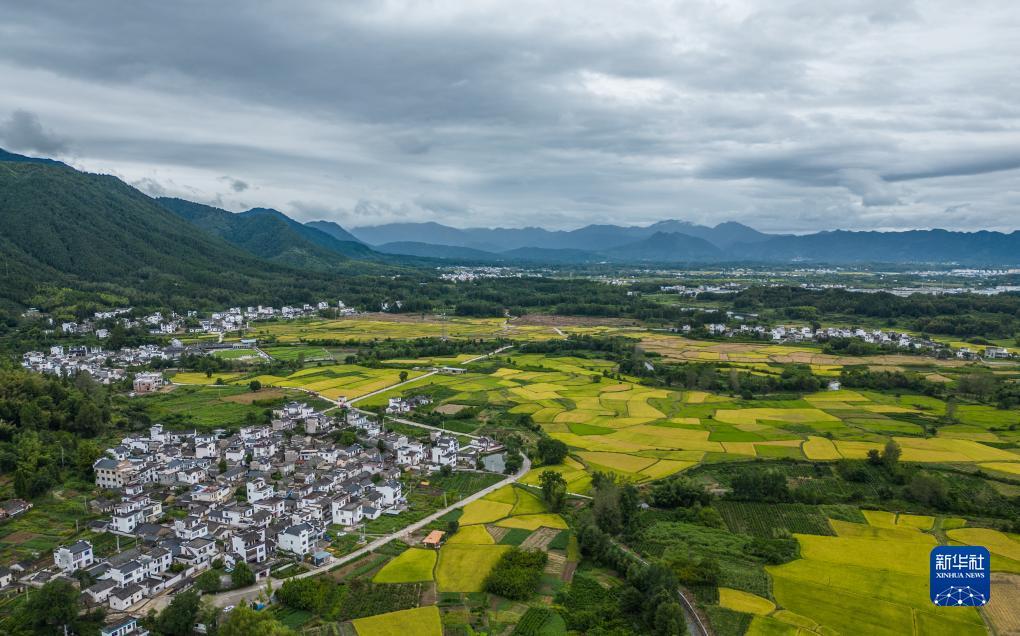 博贝棋牌安卓官网